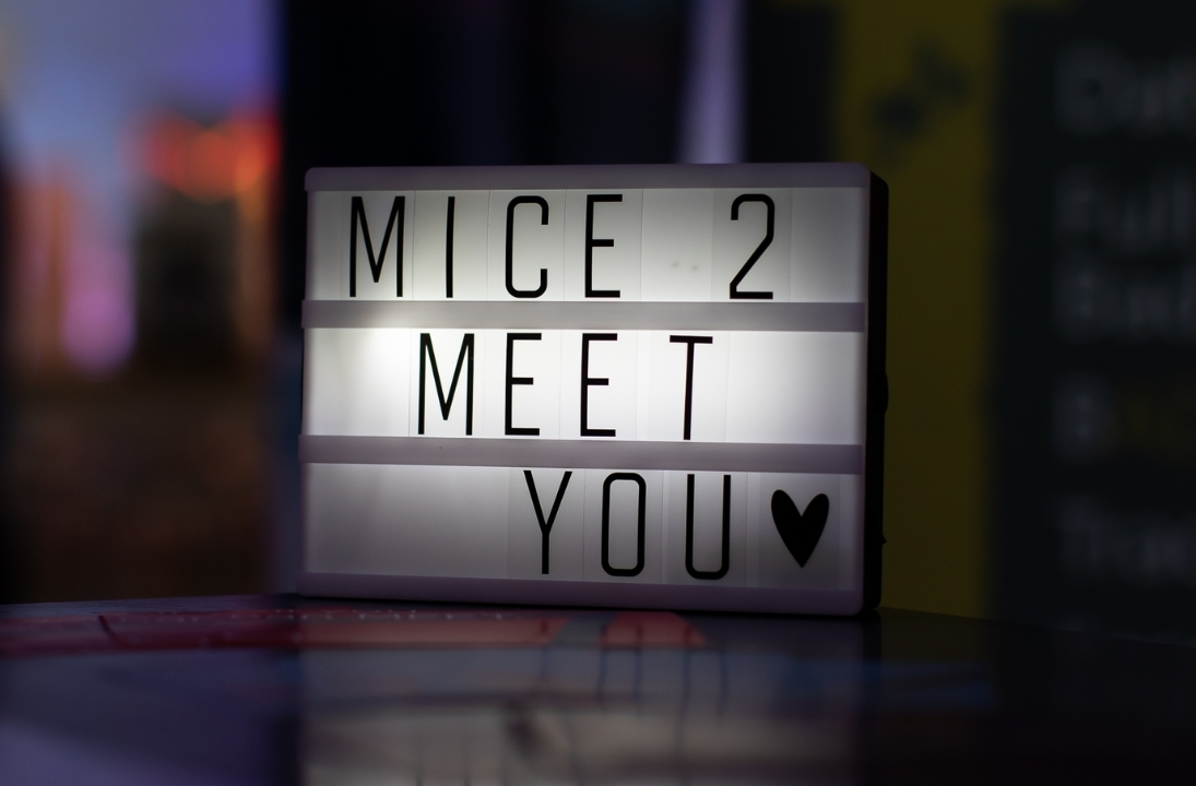 MICE 2 MEET YOU