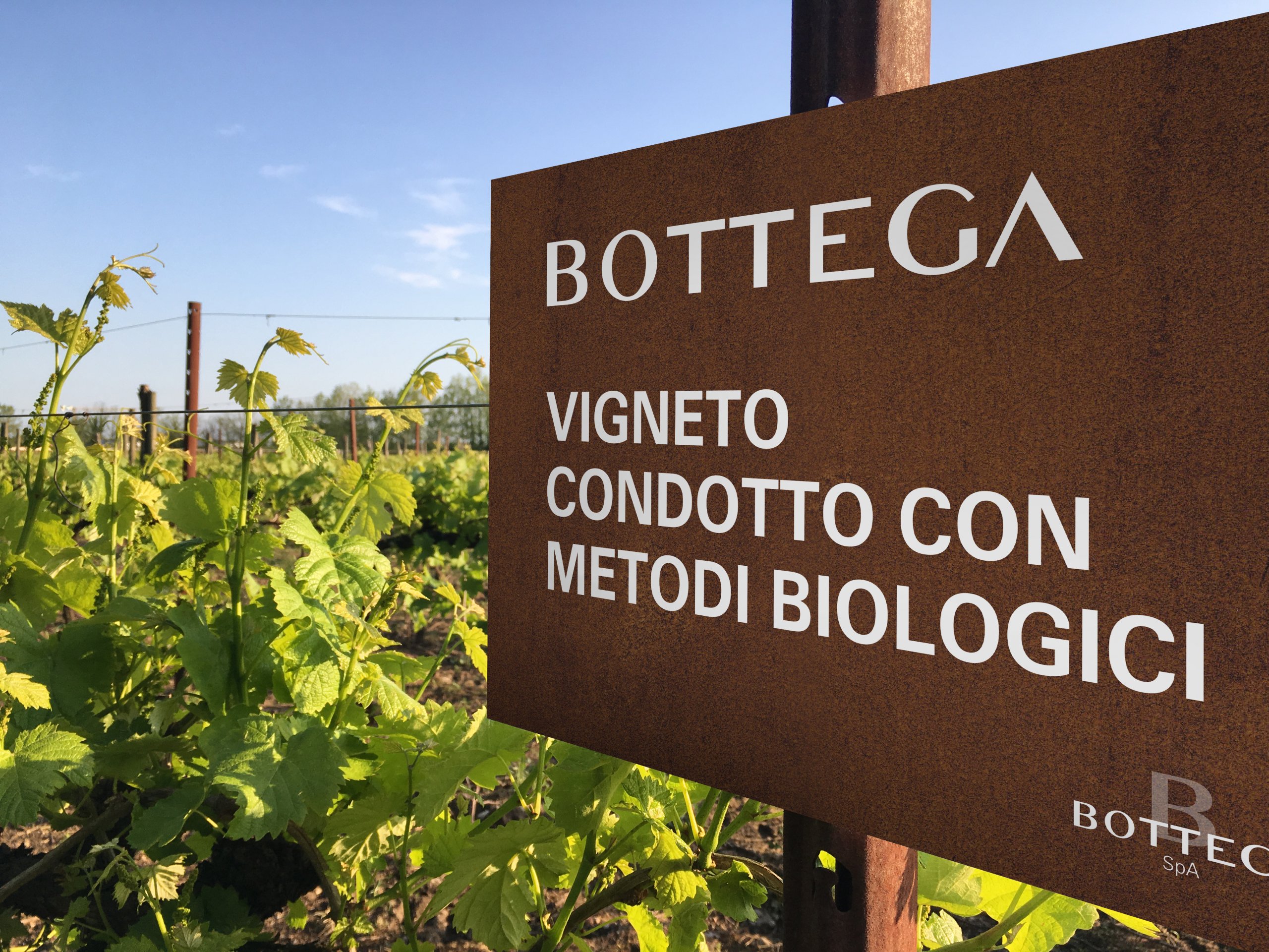 Der neue Nachhaltigkeitsreport der Bottega SpA liegt vor