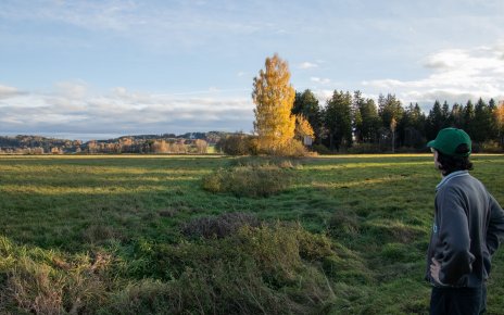 Minor Hotels vertieft Kooperation mit EcoTree