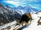 Nepal als wachsendes Reiseziel für Kultur- und naturbasiertes Reisen