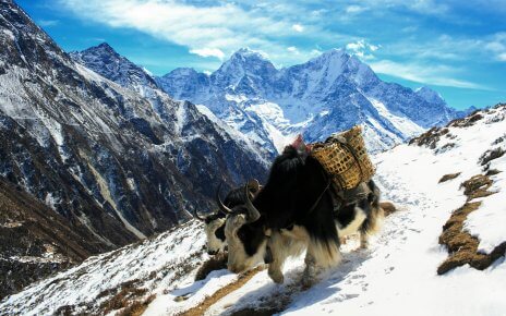 Nepal als wachsendes Reiseziel für Kultur- und naturbasiertes Reisen
