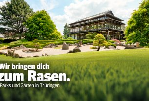Wir bringen dich zum Rasen