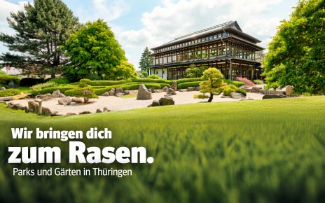 Wir bringen dich zum Rasen