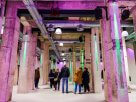 Ein Tag voller Geschichten, Architektur und echter Ruhrpott Magie: Erlebnistag am 29. September auf Zollverein